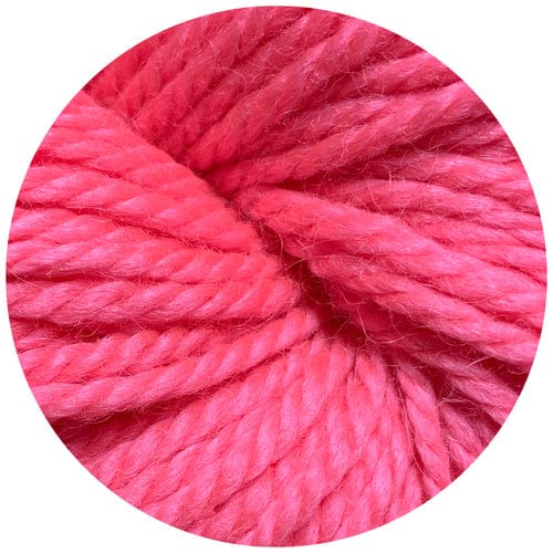 Big Bad Wool Yarn Fruit Loop Weepaca