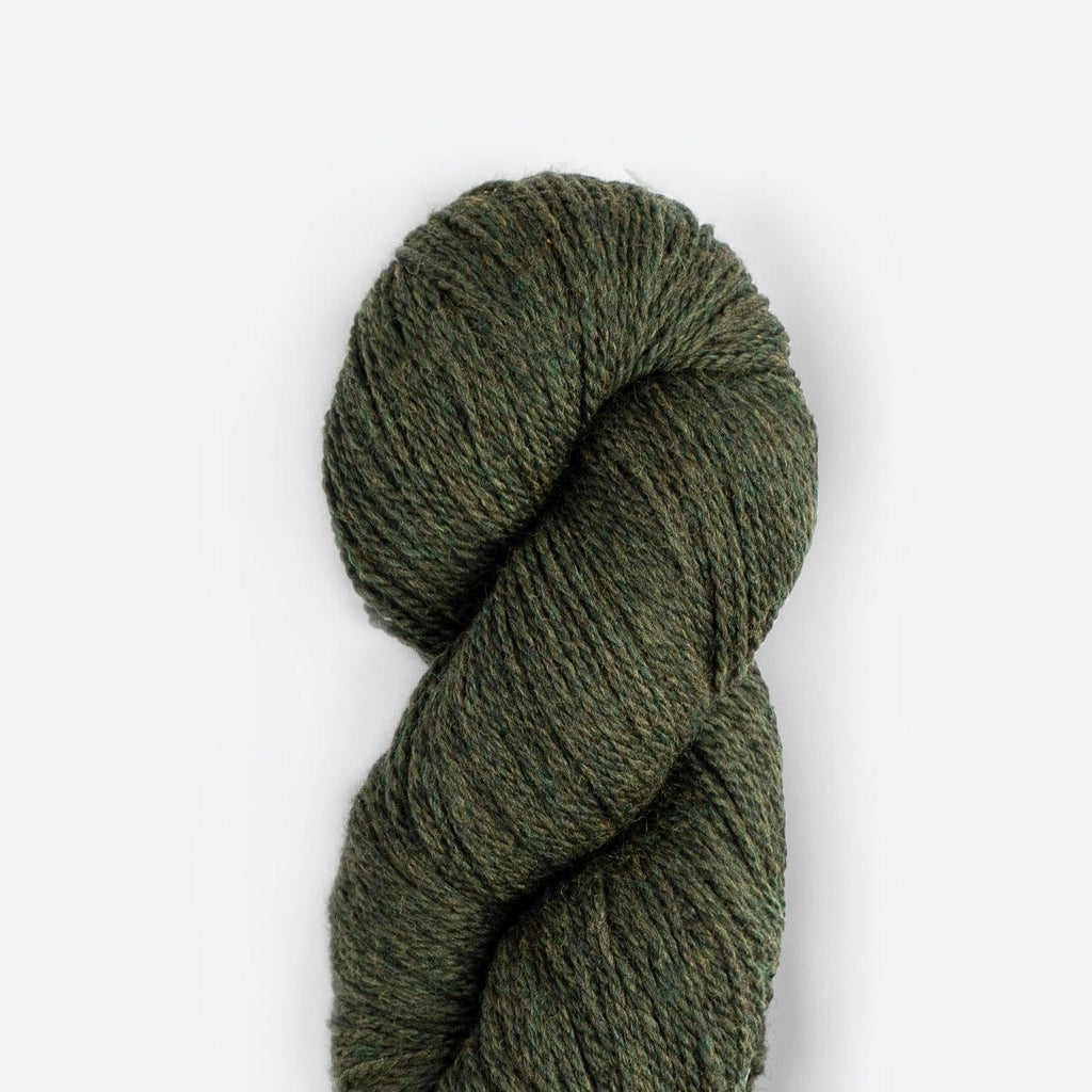 Blue Sky Fibers Blue Sky Fibers Woolstok 150g