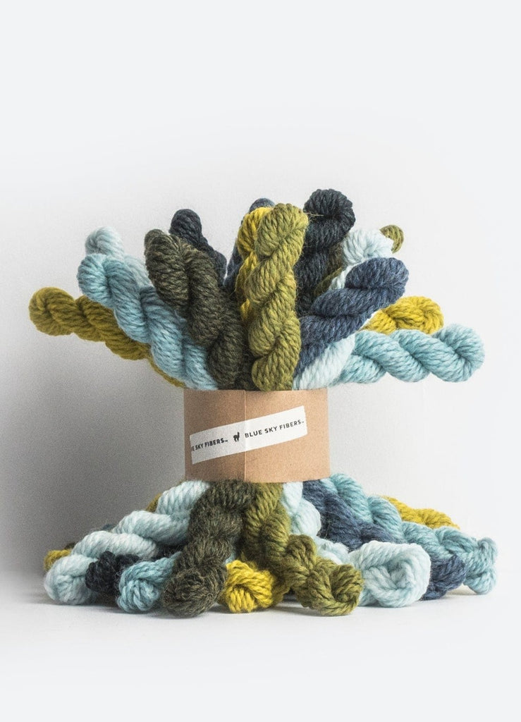 Blue Sky Fibers Blue Sky Fibers Woolstok Bundles