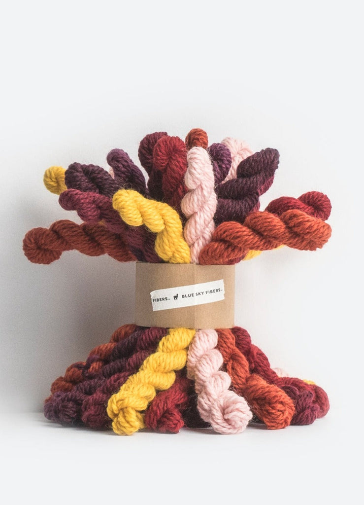Blue Sky Fibers Blue Sky Fibers Warm ~ 21 mini skeins Woolstok Bundles