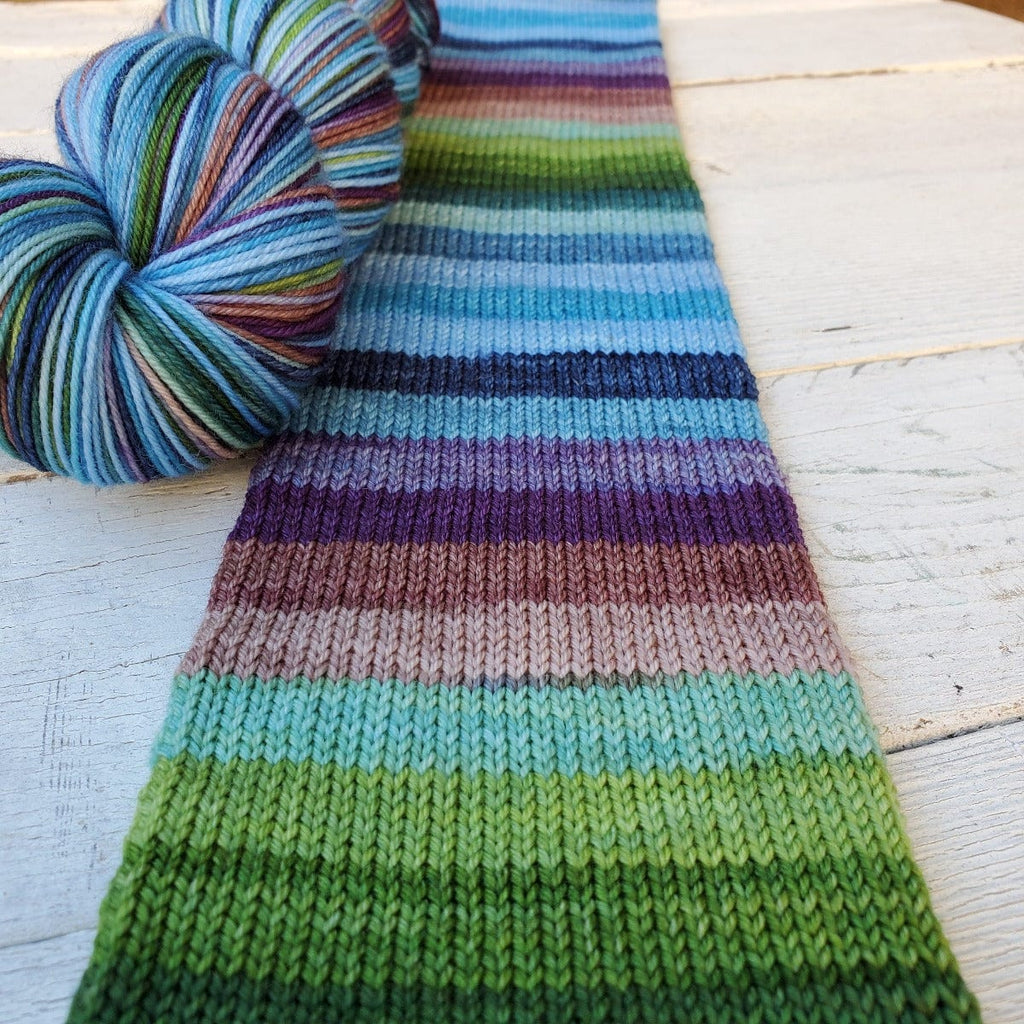 Must Stash Yarn Denali Perfect Sock