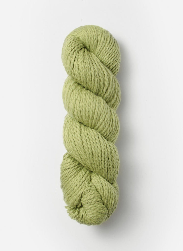 Blue Sky Fibers Blue Sky Fibers 639 Wasabi Organic Cotton Worsted