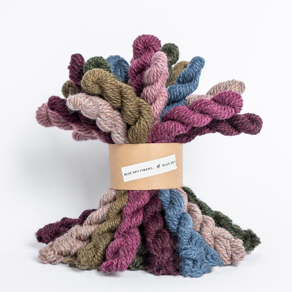 Blue Sky Fibers Blue Sky Fibers Bramble & Fig Woolstok Bundle