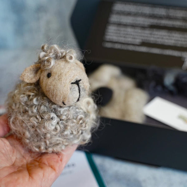 Bear Creek Needlefelting Black Sheep Needle Felting Kit