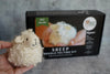 Bear Creek Needlefelting White Sheep Needle Felting Kit