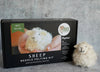 Bear Creek Needlefelting White Sheep Needle Felting Kit