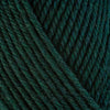 Berroco Yarn 43149 Pine Ultra Wool Chunky