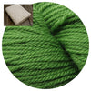 Big Bad Wool Kit Tree Frog Basketweave Blanket Kit