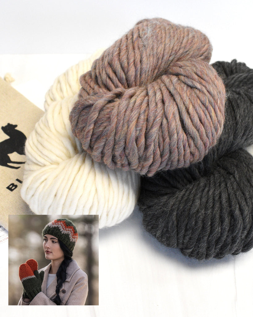 Blue Sky Fibers Kit The Grand Portage hat & Mitten Kit - Northern Lights Colorway