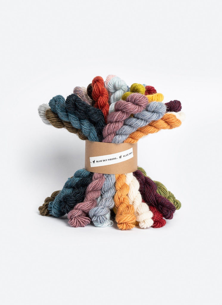 Blue Sky Fibers Yarn 27 Colors ~ 27 mini skeins 27 Color Woolstok Light Bundle