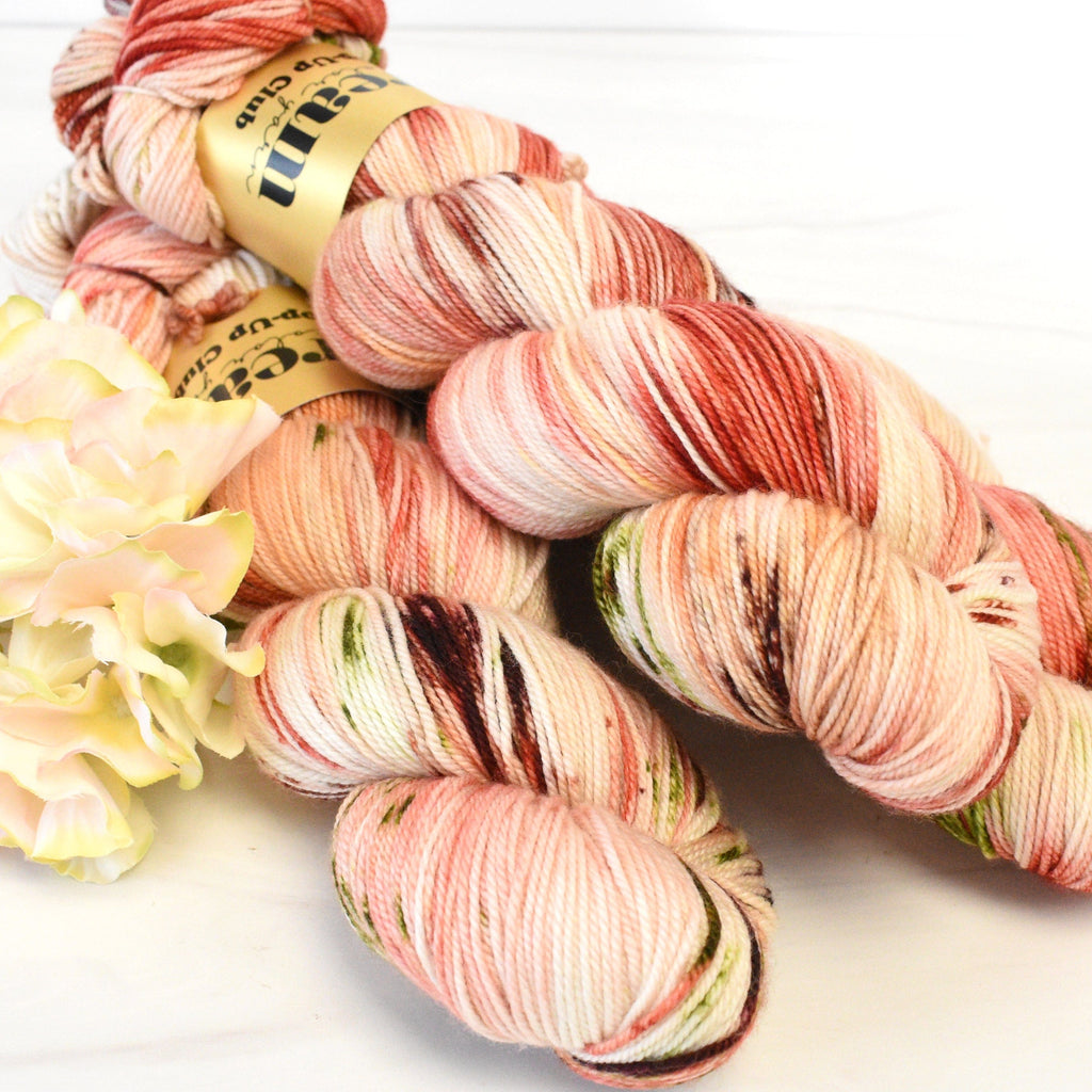 Dream in Color Yarn Petrichor Pop Up Club by Dream in Color