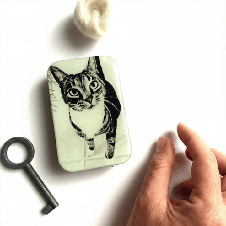 Firefly Notes Tools & Gifts Cat Storage Tin