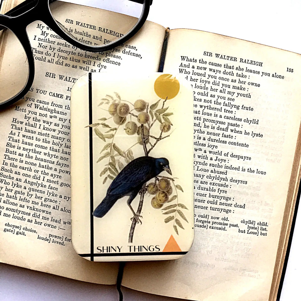 Firefly Notes Tools & Gifts Crow, Shiny Things Storage Tin
