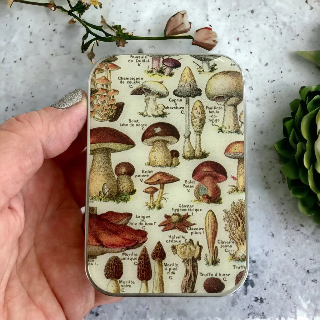Firefly Notes Tools & Gifts Mushroom Storage Tin