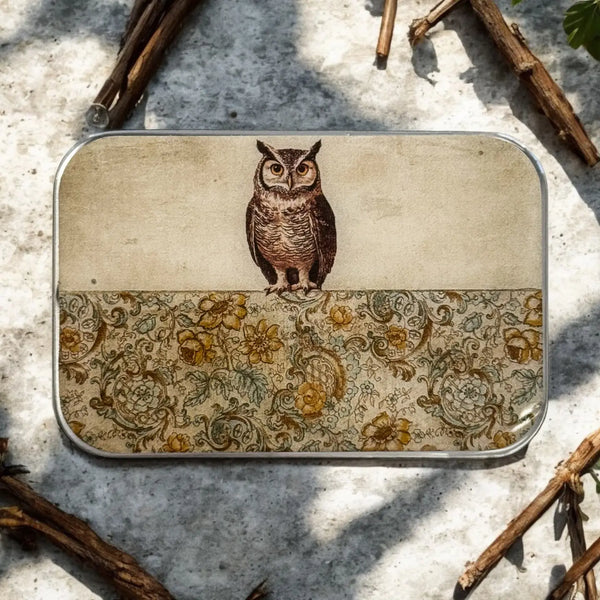 Firefly Notes Tools & Gifts Owl Storage Tin