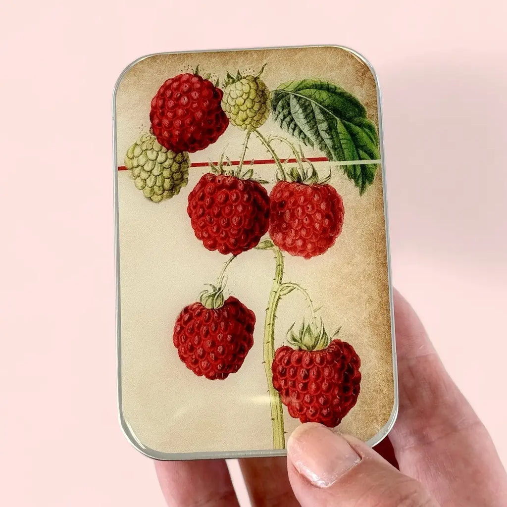 Firefly Notes Tools & Gifts Raspberry Storage Tin