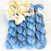 Koigu Wool Designs Yarn KPPM