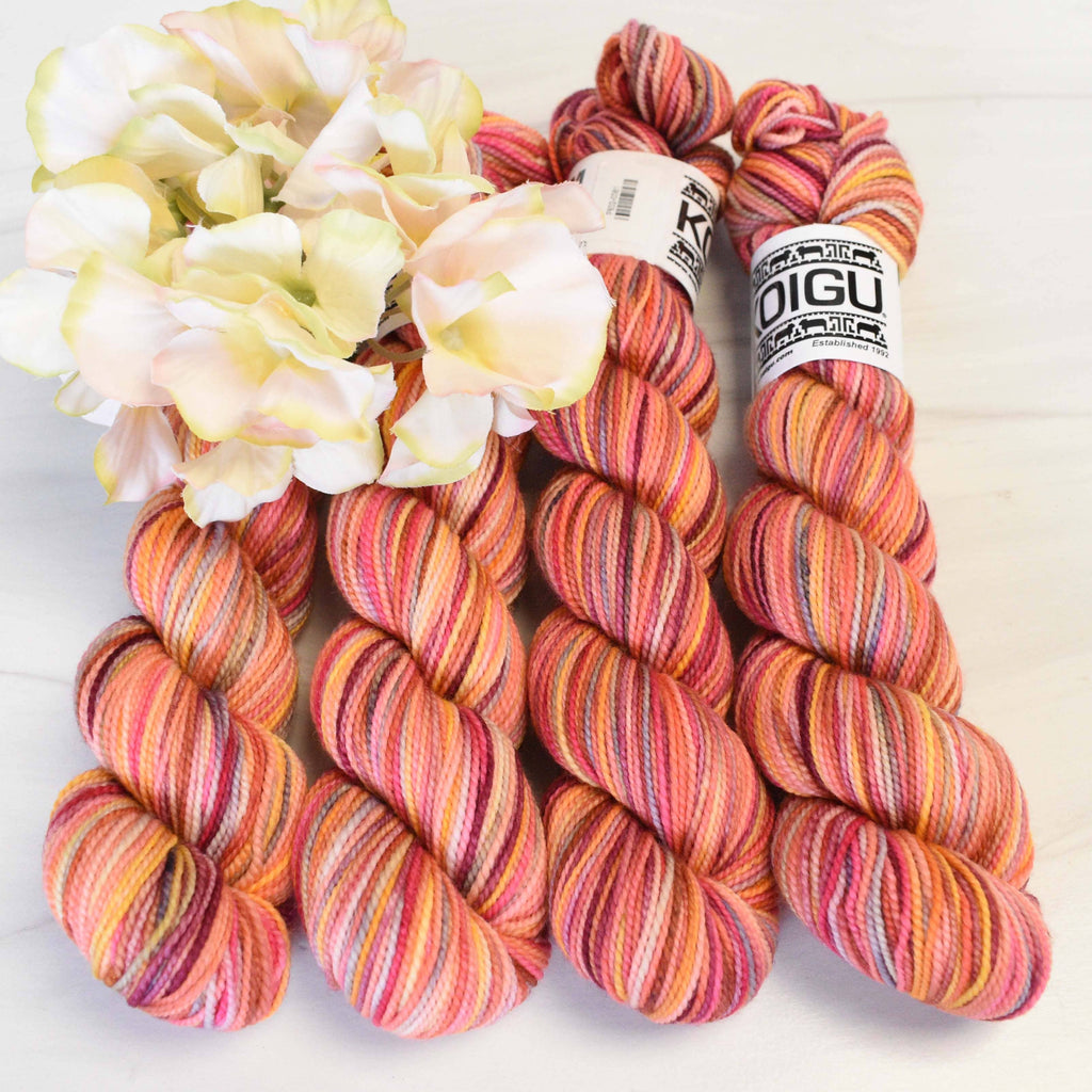 Koigu Wool Designs Yarn P602 KPPM