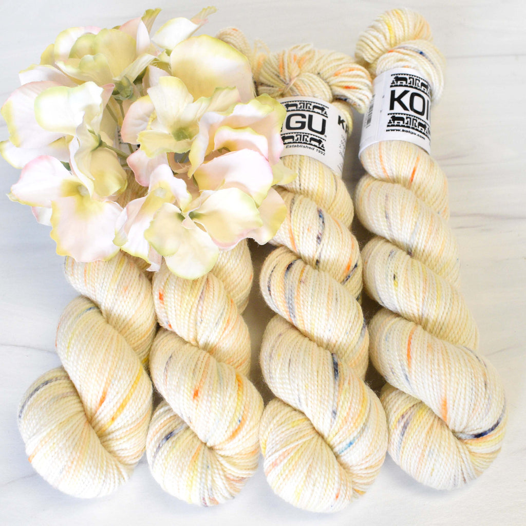 Koigu Wool Designs Yarn P730 KPPM