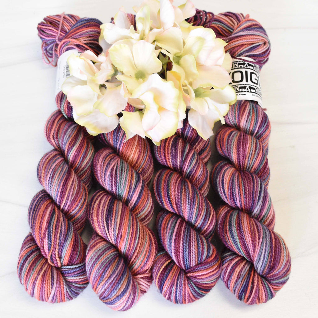 Koigu Wool Designs Yarn P847 KPPM