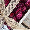 Koigu Wool Designs Yarn KPPM859 KPPM Sock Kit