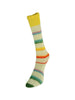 Laines du Nord Yarn 02 - yellow, turquoise, green, orange Art Sock