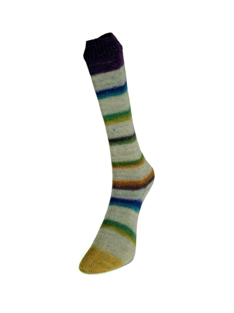 Laines du Nord Yarn 03 - purple, turquoise, yellow, orange Art Sock