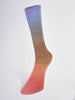 Laines du Nord Yarn 04 - purple. blue. yellow. red Harmonious Sock