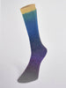 Laines du Nord Yarn 07 - yellow. green. royal. purple Harmonious Sock