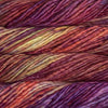 Malabrigo Yarn Rasta