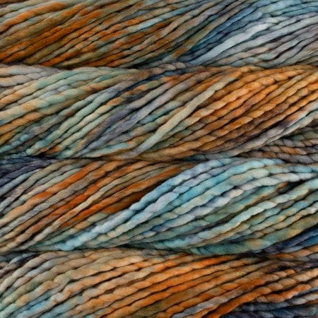 Malabrigo Yarn Amphibian Rasta