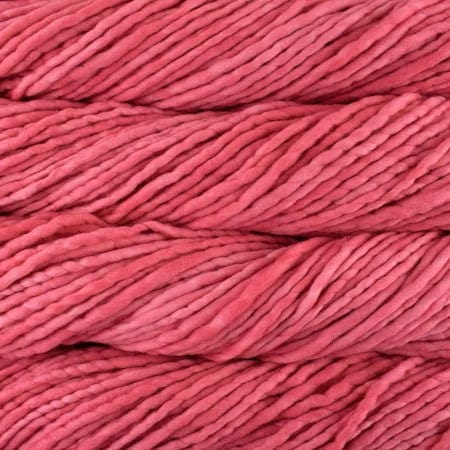 Malabrigo Yarn Cactus Flower Rasta