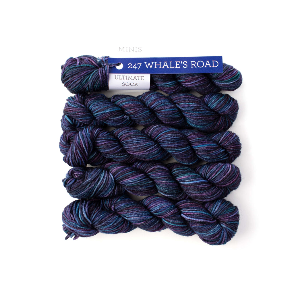 Malabrigo Yarn Whales Road Ultimate Sock Minis