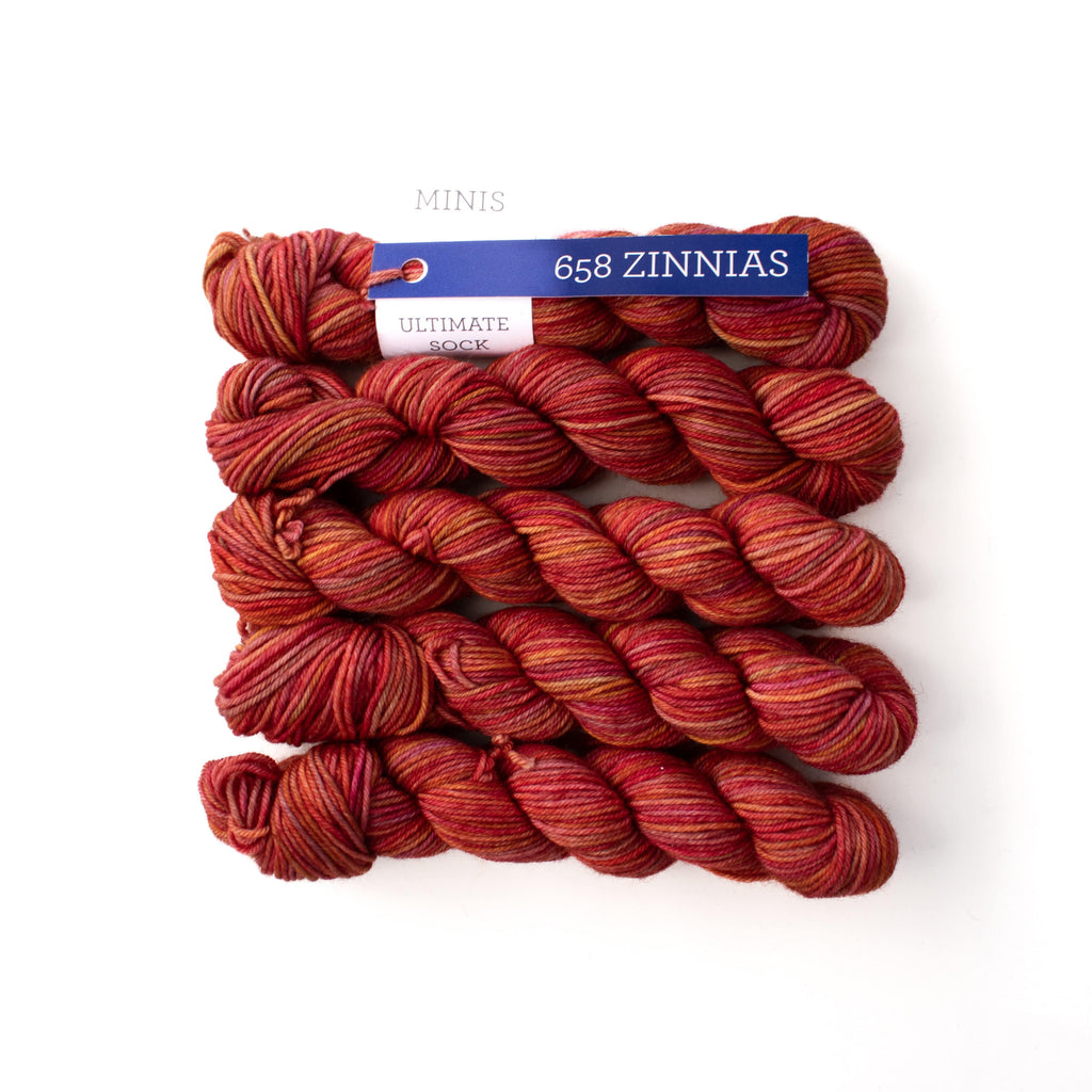 Malabrigo Yarn Zinnias Ultimate Sock Minis