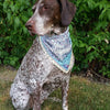 Michigan Mittens Tools & Gifts Michigan Bandana