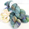 Palmer Yarn Company Yarn Mist Soft Sock