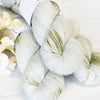 Palmer Yarn Company Yarn Spring Rain Soft Sock