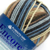 Plymouth Yarn Company Yarn 7653 Encore Colorspun Worsted