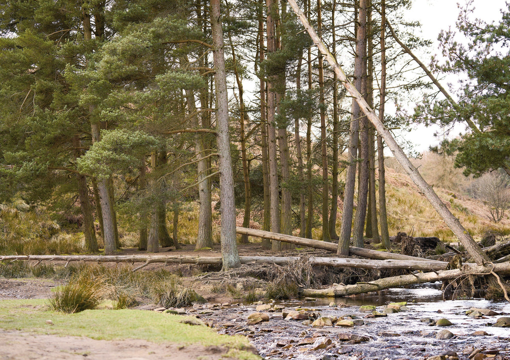 Rowan Books Felted Tweed Soft Collection