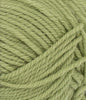 Sandnes Garn Yarn 9533 PK Green Tea Double Sunday