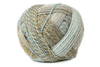 Schoppel Yarn 2690 Zauberball Crazy