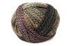 Schoppel Yarn 2692 Zauberball Crazy
