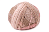Schoppel Yarn 2694 Zauberball Crazy