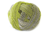Schoppel Yarn 2204 Zauberball Starke 6