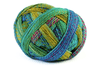 Schoppel Yarn 2404 Zauberball Starke 6