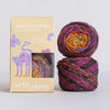 Urth Yarns Yarn Unseek Mini Sock Kit