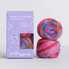 Urth Yarns Yarn Unseek Mini Sock Kit
