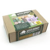 Woolbuddy Needlefelting Woolbuddy Needle Felting Beginner Kit