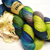 Dream in Color Dream in Color February 2023 ~ Assigned Pooling colorway Pop Up Club by Dream in Color