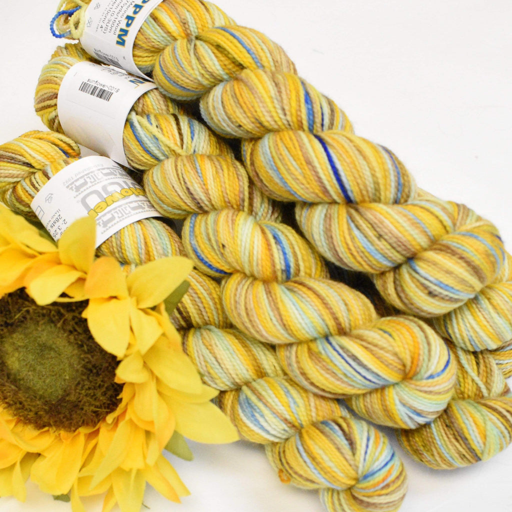 Koigu Wool Designs Koigu Sunflower KPPM Collector